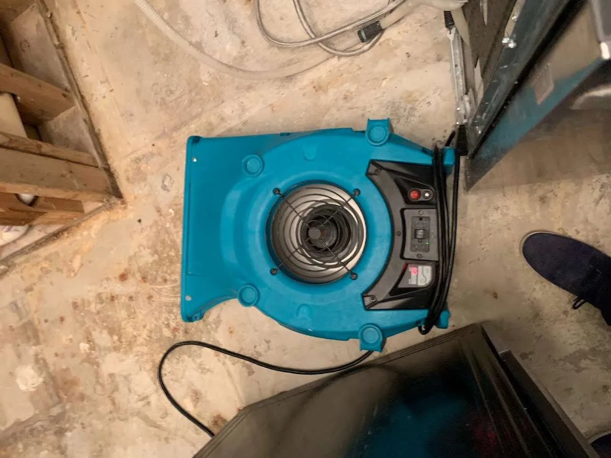 Air mover drying equipment for Mold Remediation & Removal in Thornton