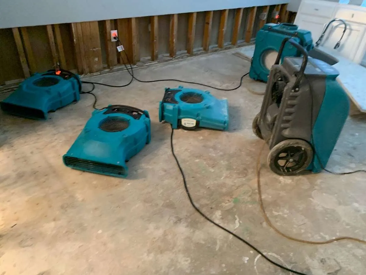 Mold Remediation & Removal in Thornton, CO